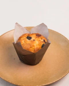 Blueberry Muffin