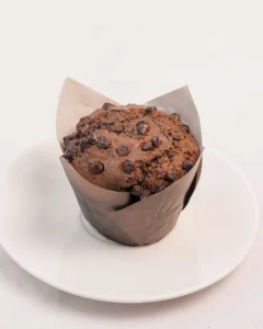 Chocolate Muffin